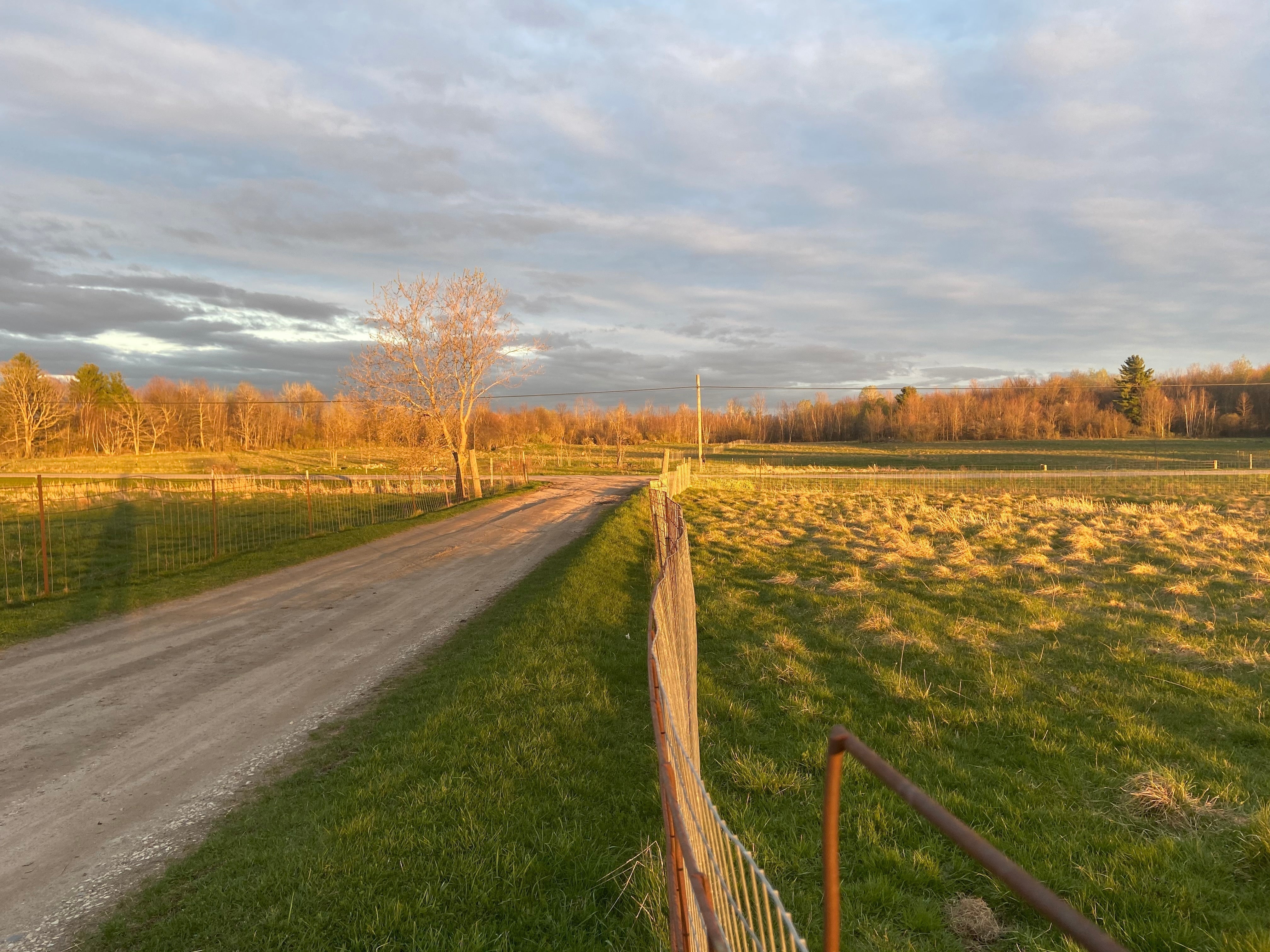 April 2025 CSA Newsletter